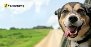 Pavlov per iFormazione 2018